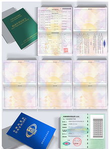 精品AI設(shè)計(jì) 計(jì)算機(jī)軟件著作權(quán)登記證書(shū)PSD模板下載